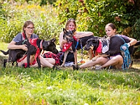 Adoptuj Warszawiaka  Wydarzenie promujące adopcję zwierząt. Organizator: Schronisko dla Bezdomnych Zwierząt "Na Paluchu". 18 sierpnia 2019, Park Raszyński w Raszynie. : park raszyński, adoptuj warszawiaka, na paluchu, schronisko dla zwierząt, centrum warszawy, raszyn